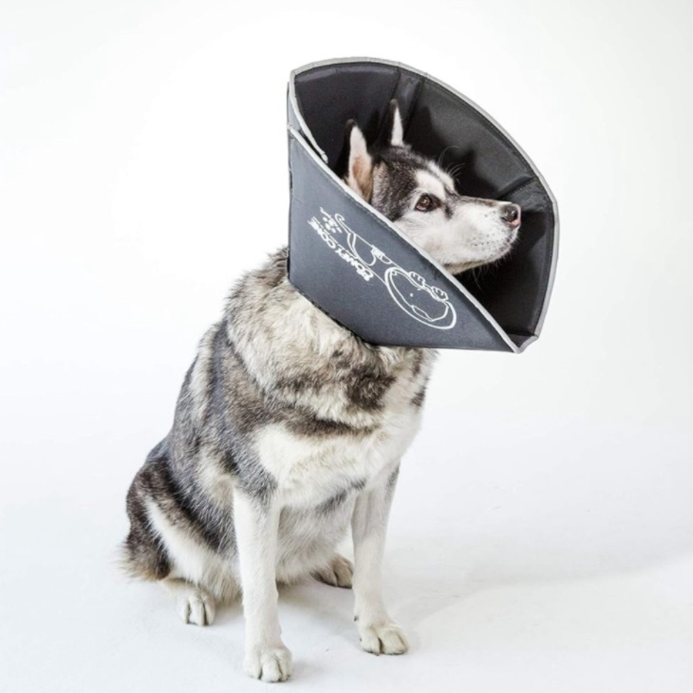 NWT Comfy Cone Pet Cone for Dogs, Cats | Large, Black | Soft Dog Cone